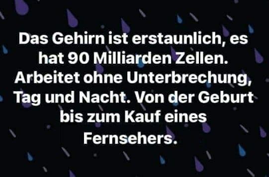 gehirn-ist-erstaunlich