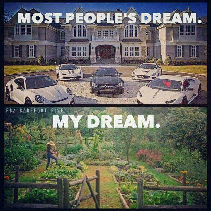 MyDream